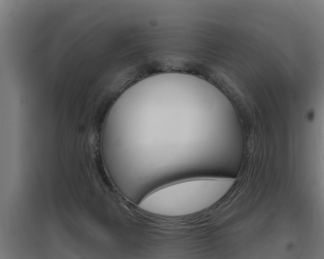 X0000097590079200802290758