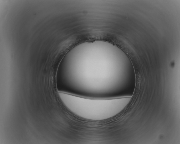 X0000097590080200802290758
