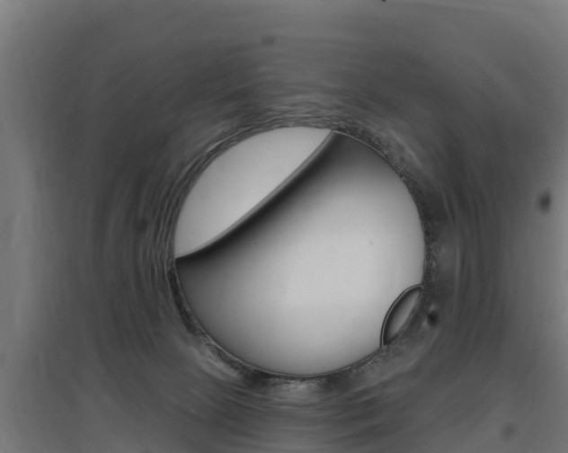 X0000097590081200802290758