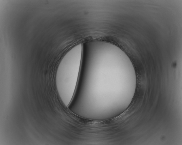 X0000097590082200802290758