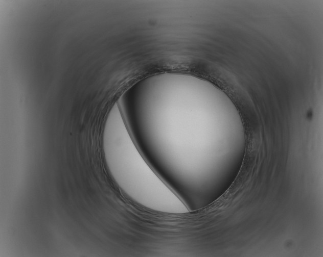 X0000097590084200802290758