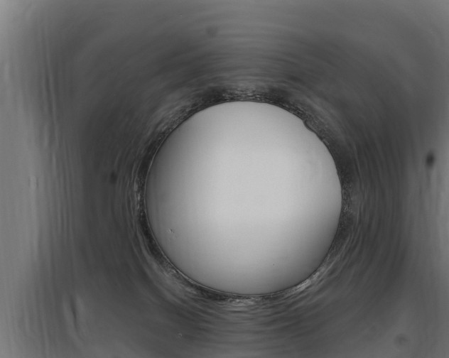 X0000097590086200802290758