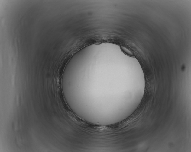 X0000097590087200802290758