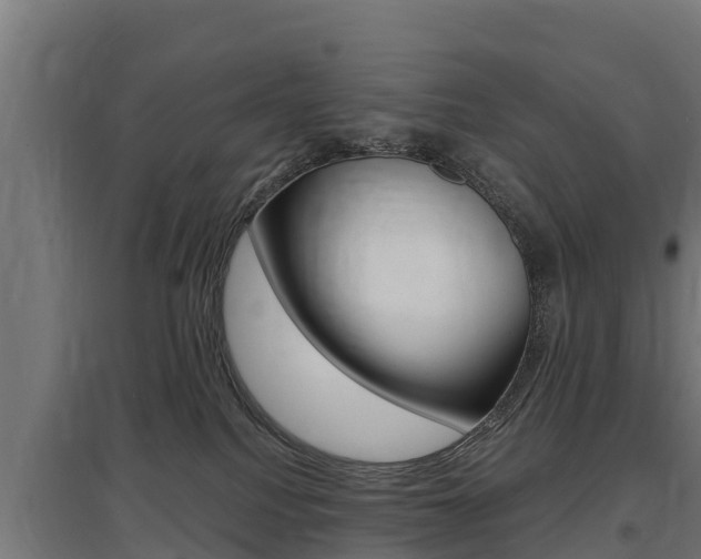 X0000097590088200802290758