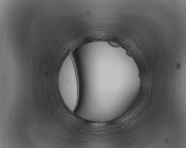 X0000097590089200802290758
