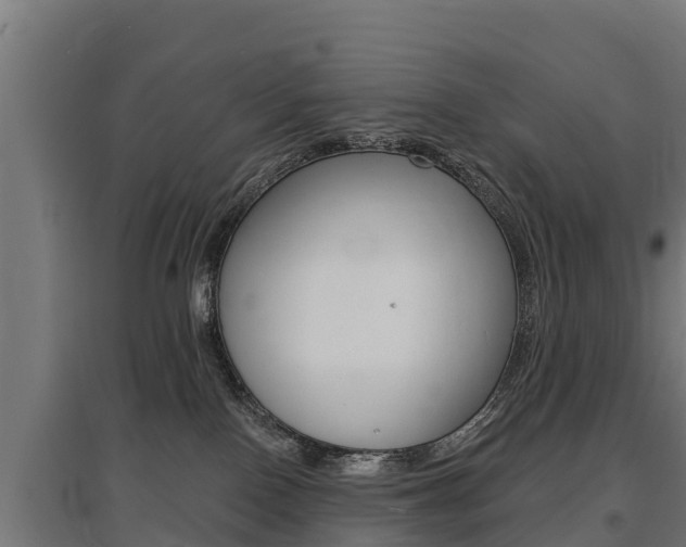 X0000097590090200802290758