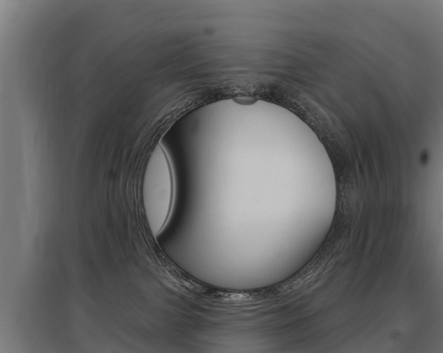 X0000097590091200802290758