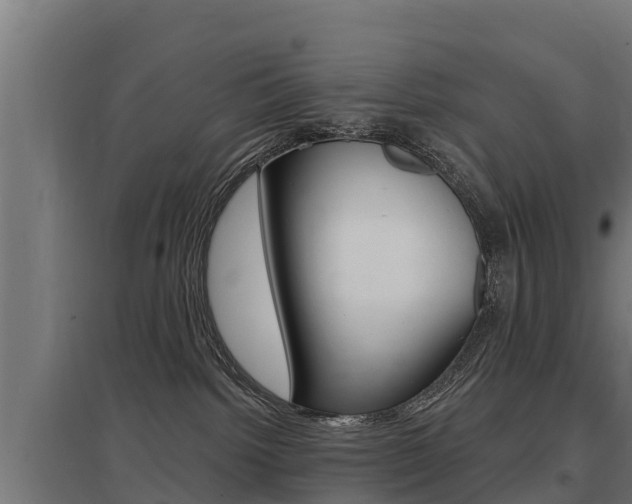 X0000097590092200802290758