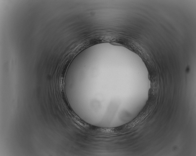 X0000097590093200802290758