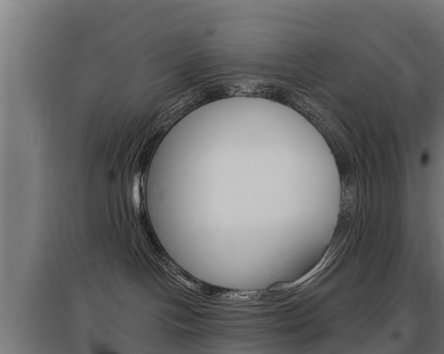 X0000097590094200802290758