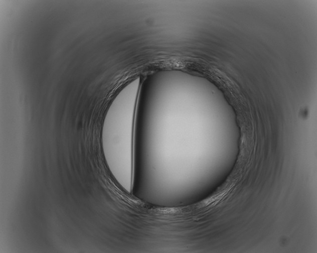 X0000097590096200802290758