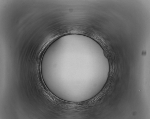 X0000097590098200802290758