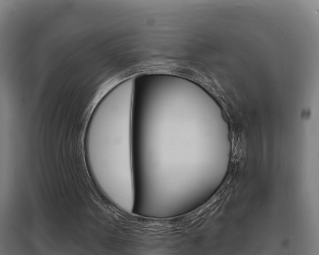 X0000097590099200802290758