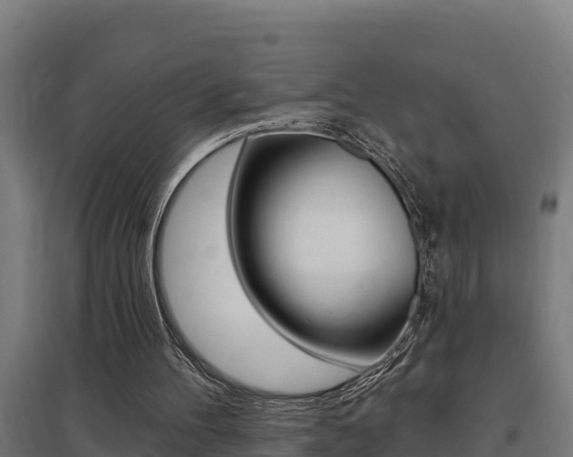 X0000097590100200802290758