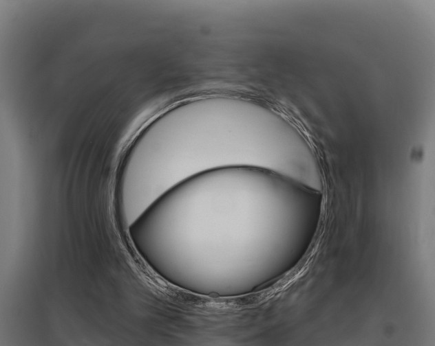 X0000097590101200802290758