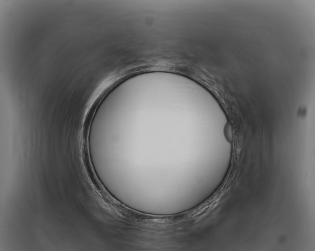 X0000097590102200802290758