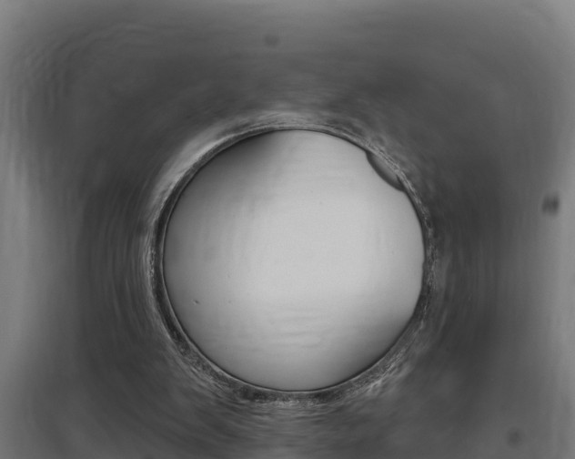 X0000097590103200802290758