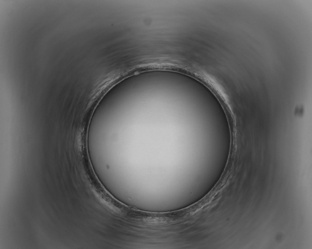 X0000097590105200802290758