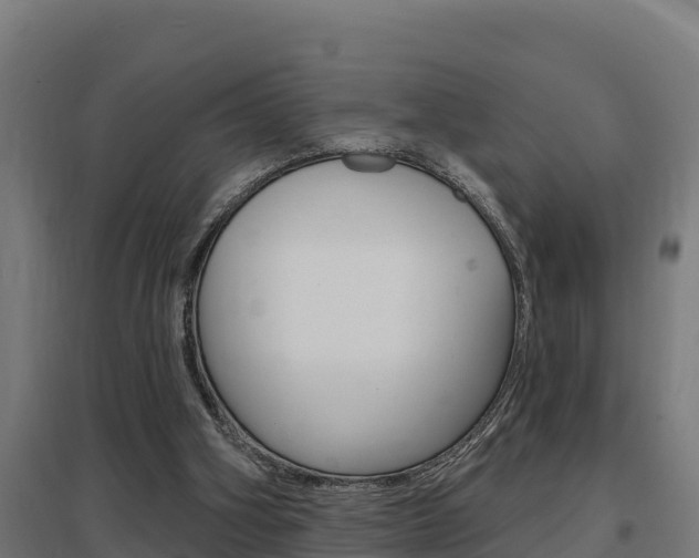 X0000097590106200802290758