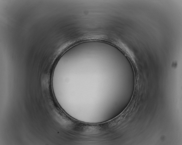 X0000097590107200802290758