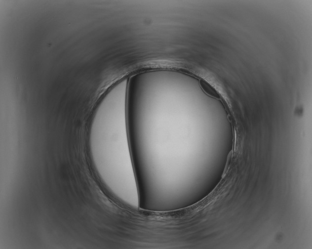 X0000097590109200802290758