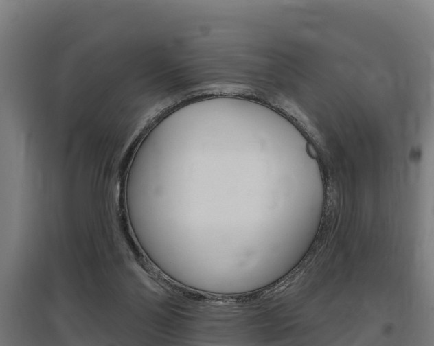 X0000097590110200802290758