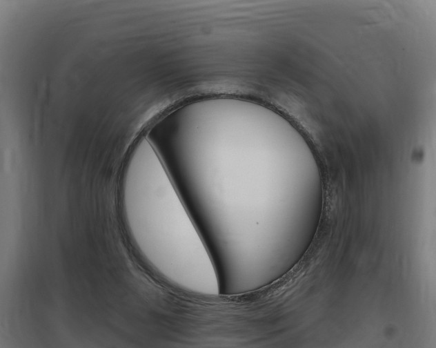 X0000097590111200802290757