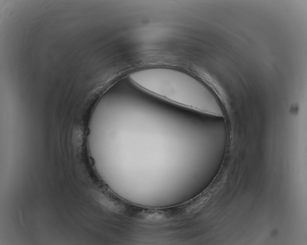 X0000097590113200802290757