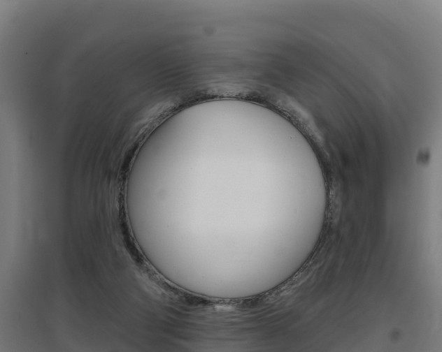 X0000097590114200802290757