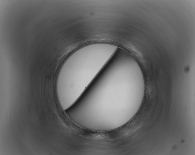 X0000097590115200802290757