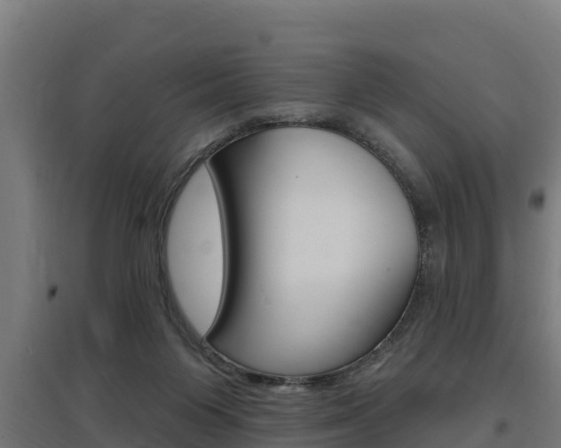 X0000097590119200802290757