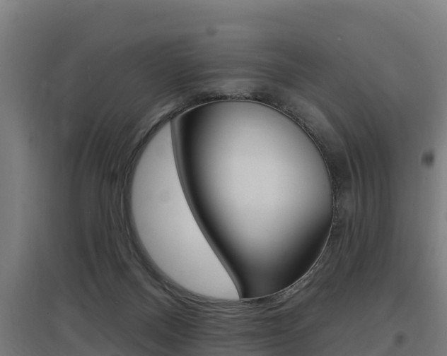 X0000097590120200802290757