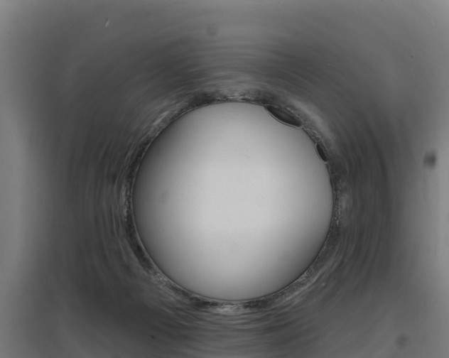 X0000097590121200802290757