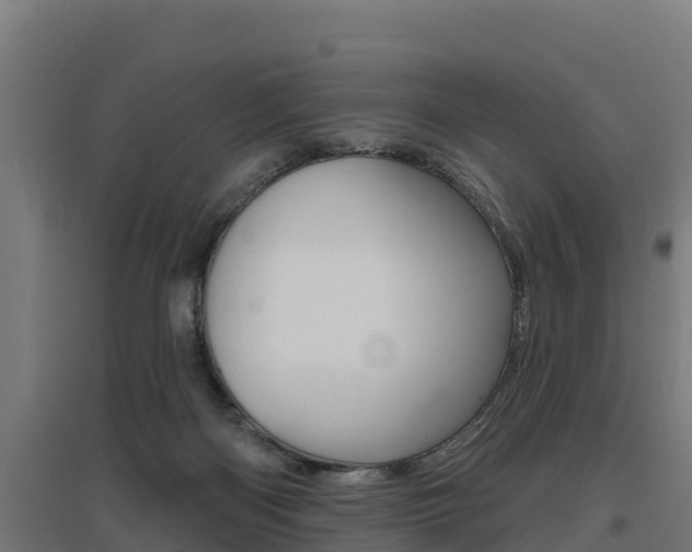 X0000097590122200802290757