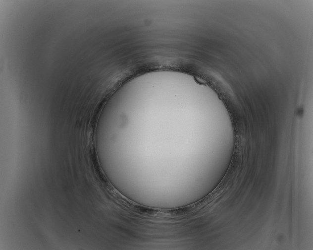 X0000097590123200802290757