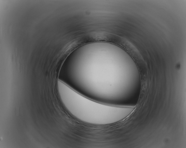 X0000097590124200802290757