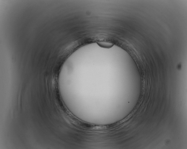 X0000097590126200802290757