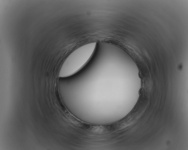 X0000097590127200802290757
