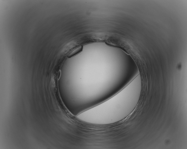 X0000097590128200802290757