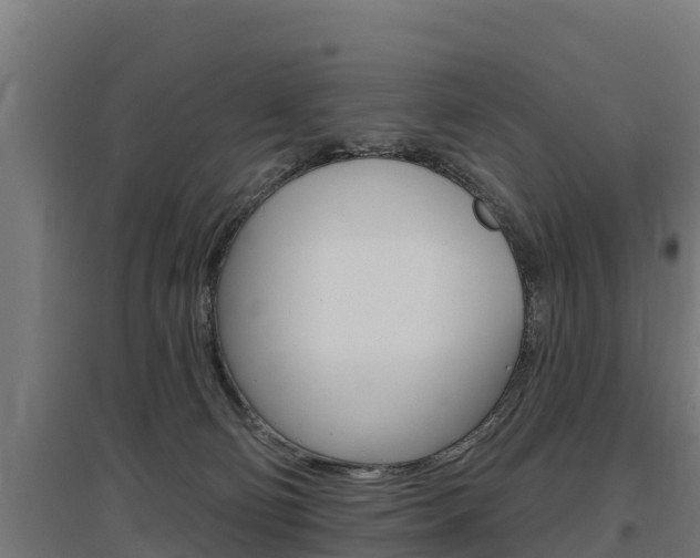 X0000097590130200802290757