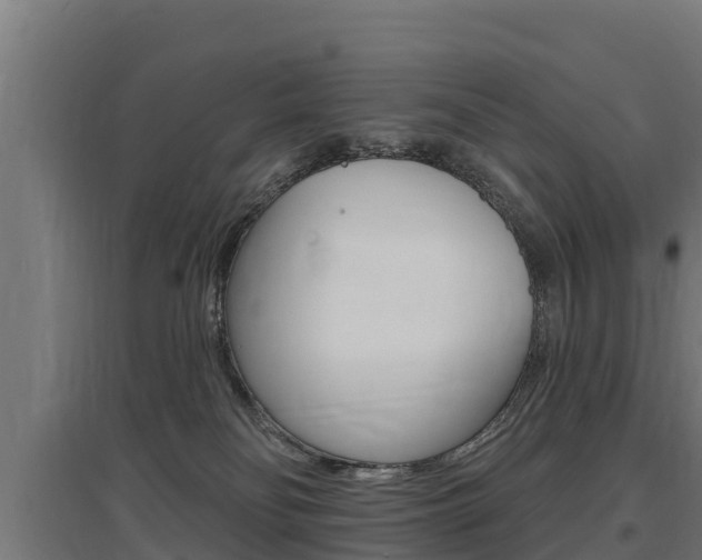 X0000097590134200802290757
