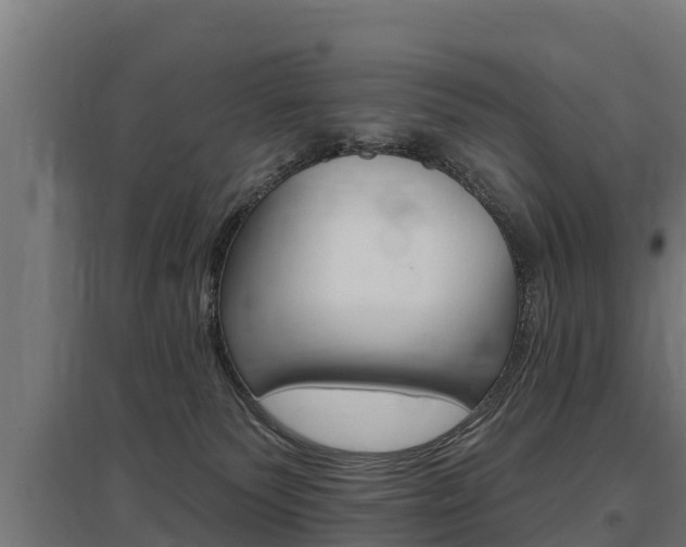 X0000097590135200802290757