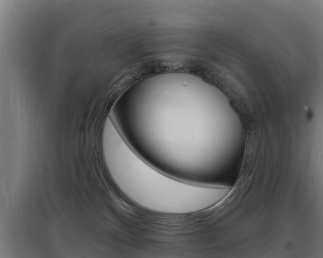 X0000097590136200802290757