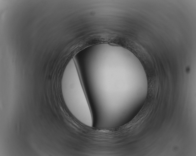 X0000097590137200802290757