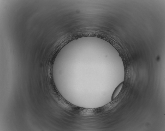X0000097590138200802290757