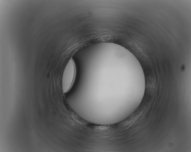X0000097590139200802290757