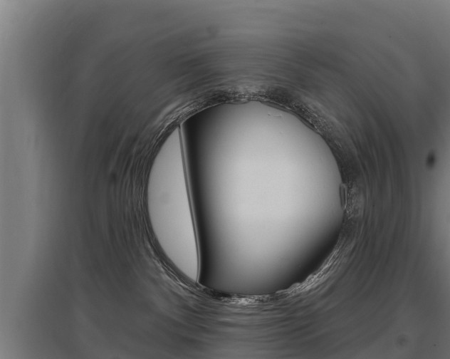 X0000097590140200802290757