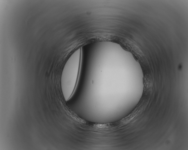 X0000097590141200802290757