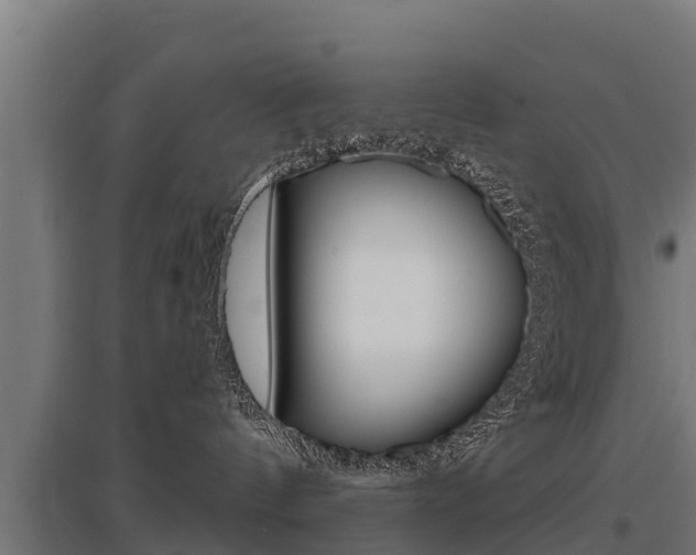 X0000097590144200802290757