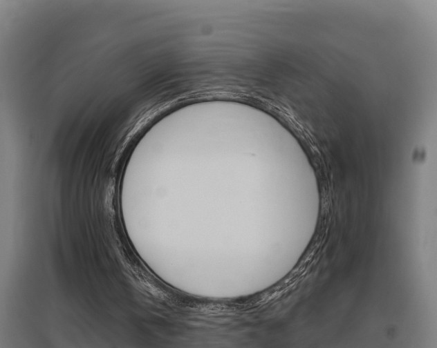 X0000097590146200802290756